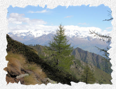Panorama sul gruppo
del Monte Rosa dal Colle Fiotte
(47217 bytes)